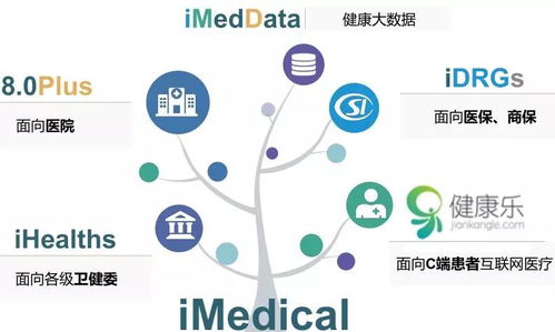 吹盡黃砂始見金 東華軟件在數字醫療與數字文化創意中的王者之路